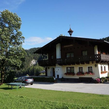 Gastehaus Soldanella Hotell Ramsau am Dachstein Exteriör bild